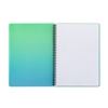 Picture preview 115.495