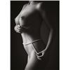 Picture preview 511.0540
