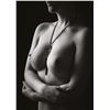 Picture preview 511.0540