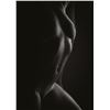 Picture preview 511.0540