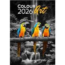 Nástěnný kalendář 2026 Colour Art