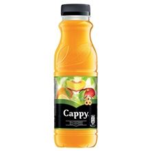 Džus Cappy - multivitamín, 12x 0,33 l