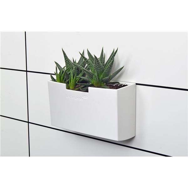 Product picture 245.667