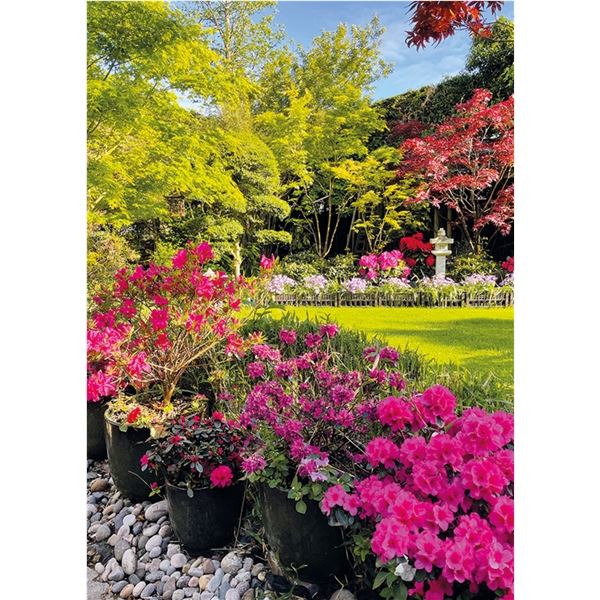 Product picture 511.0625