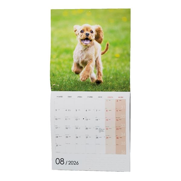 Product picture 511.0762