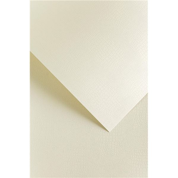 Product picture 910.569