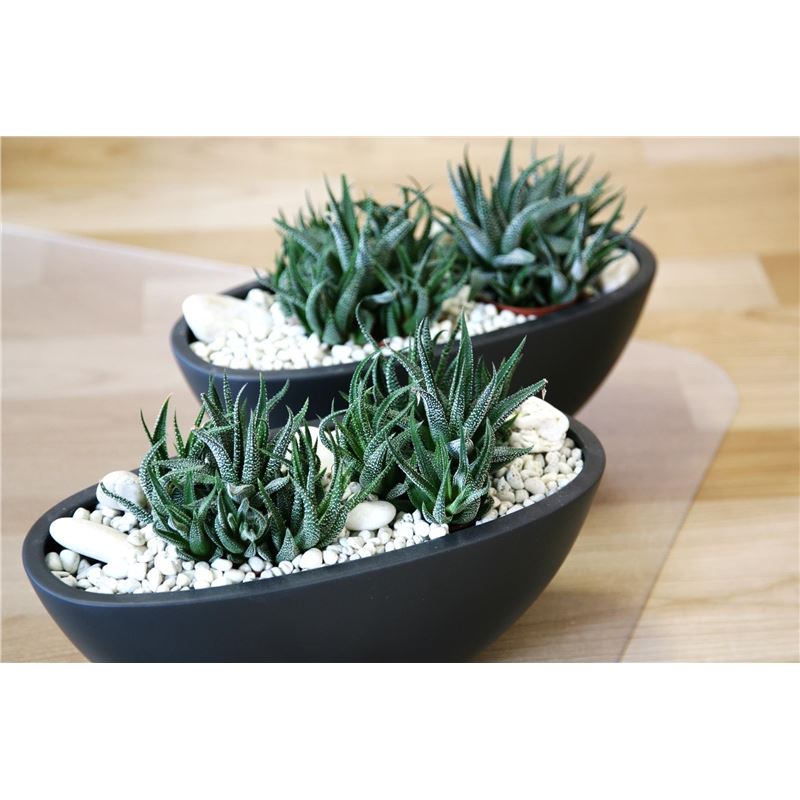 Product picture EE25-5107032