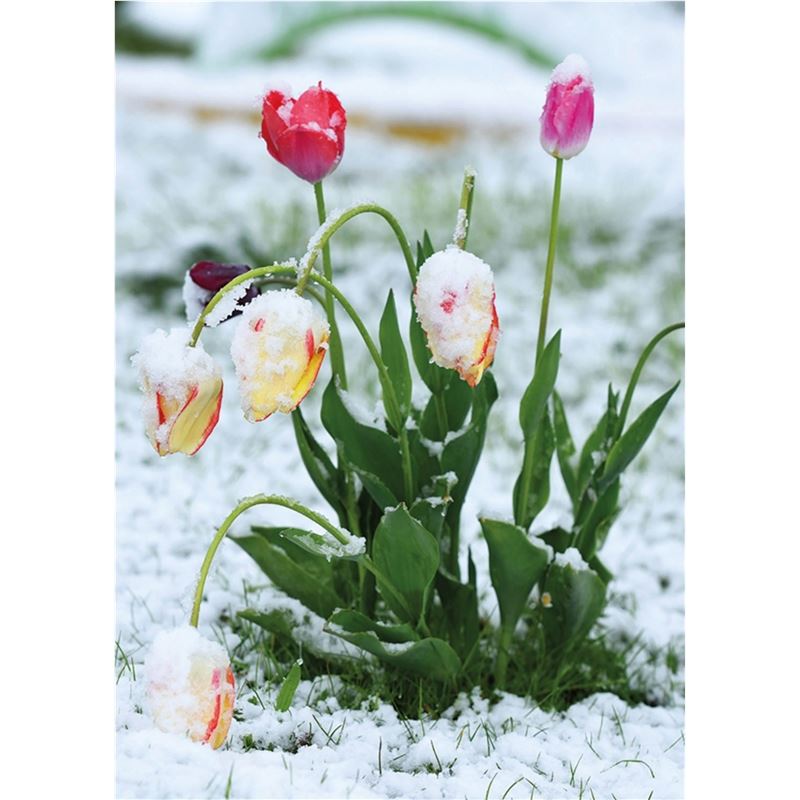 Product picture 511.0625