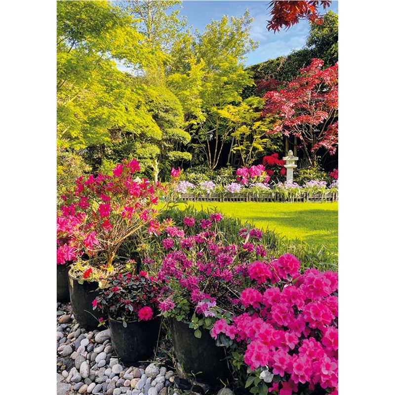 Product picture 511.0625