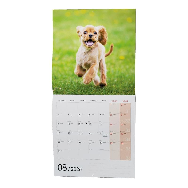 Product picture 511.0762